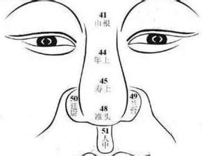 面相 鼻子歪|面相图解：鼻子歪象征着什么？